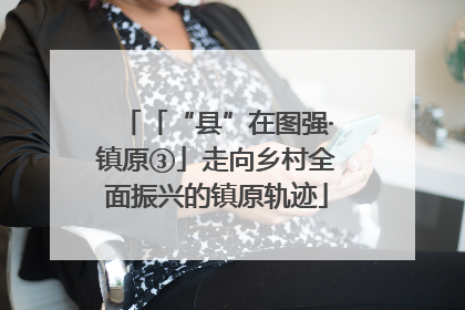 「“县”在图强·镇原③」走向乡村全面振兴的镇原轨迹