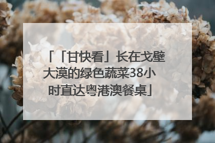 「甘快看」长在戈壁大漠的绿色蔬菜38小时直达粤港澳餐桌