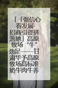 「强信心 看发展·招商引资拼落地」高原牧场“牛”劲足——甘肃华予高原牧场高标准奶牛肉牛养殖项目一线见闻