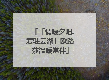 「情暖夕阳.爱驻云湖」欧路莎温暖常伴