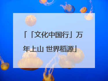 「文化中国行」万年上山 世界稻源