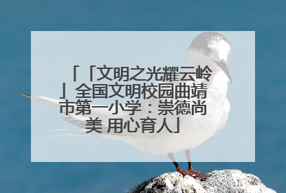 「文明之光耀云岭」全国文明校园曲靖市第一小学：崇德尚美 用心育人