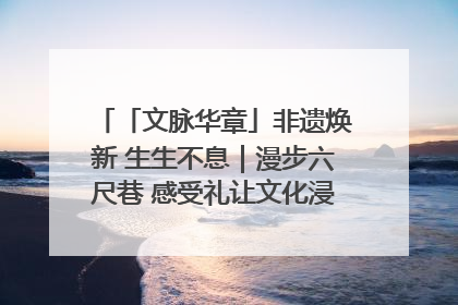 「文脉华章」非遗焕新 生生不息｜漫步六尺巷 感受礼让文化浸润的“巷”往生活