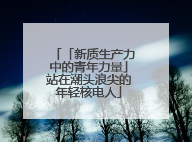 「新质生产力中的青年力量」站在潮头浪尖的年轻核电人