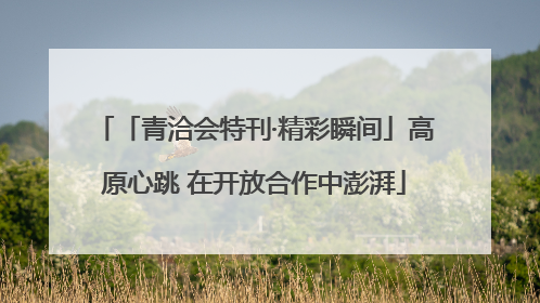 「青洽会特刊·精彩瞬间」高原心跳 在开放合作中澎湃