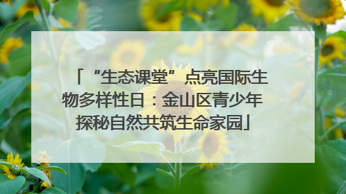 “生态课堂”点亮国际生物多样性日：金山区青少年探秘自然共筑生命家园