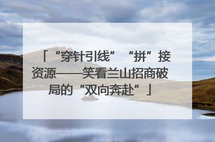 “穿针引线”“拼”接资源——笑看兰山招商破局的“双向奔赴”