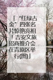 “红绿古金”四张名片惊艳亮相！吉安文旅招商推介会在青原区举行(图)