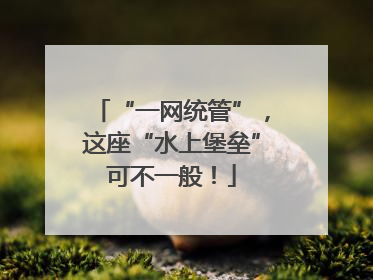 “一网统管”，这座“水上堡垒”可不一般！