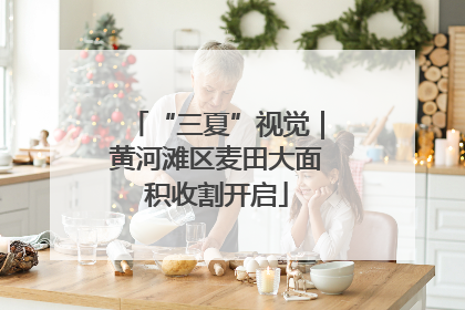 “三夏”视觉｜黄河滩区麦田大面积收割开启