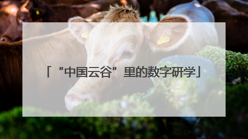 “中国云谷”里的数字研学