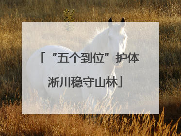 “五个到位”护体 淅川稳守山林