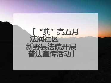 “典”亮五月 法润社区——新野县法院开展普法宣传活动