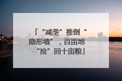 “减垄”推倒“隐形墙”，百亩地“捡”回十亩粮