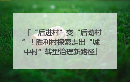 “后进村”变“后劲村”！胜利村探索走出“城中村”转型治理新路径