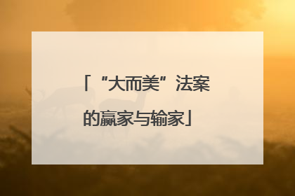 “大而美”法案的赢家与输家