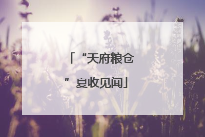 “天府粮仓”夏收见闻