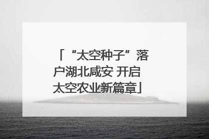 “太空种子”落户湖北咸安 开启太空农业新篇章