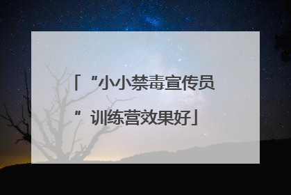 “小小禁毒宣传员”训练营效果好