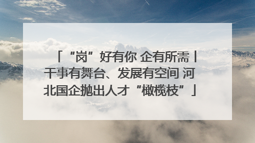 “岗”好有你 企有所需丨干事有舞台、发展有空间 河北国企抛出人才“橄榄枝”