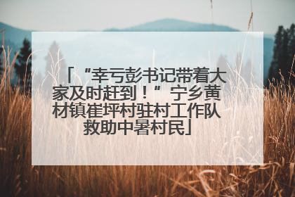 “幸亏彭书记带着大家及时赶到！”宁乡黄材镇崔坪村驻村工作队救助中暑村民