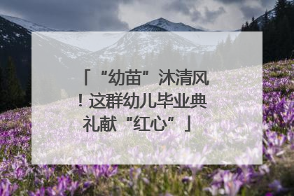 “幼苗”沐清风！这群幼儿毕业典礼献“红心”