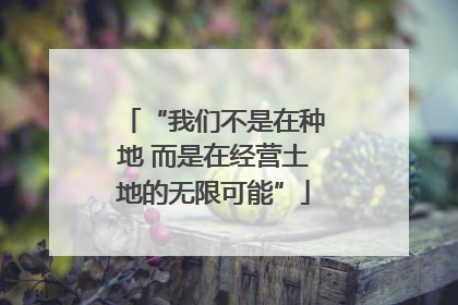 “我们不是在种地 而是在经营土地的无限可能”
