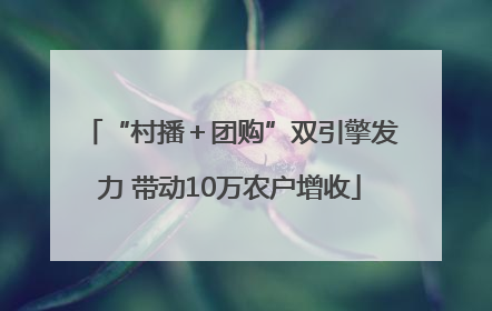 “村播＋团购”双引擎发力 带动10万农户增收