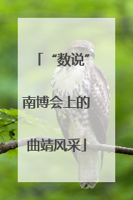 “数说”南博会上的曲靖风采
