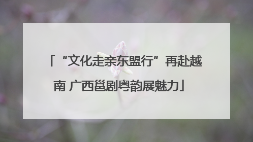 “文化走亲东盟行”再赴越南 广西邕剧粤韵展魅力