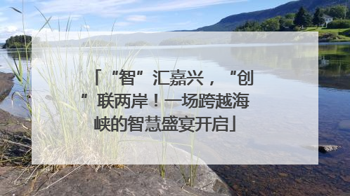 “智”汇嘉兴，“创”联两岸！一场跨越海峡的智慧盛宴开启