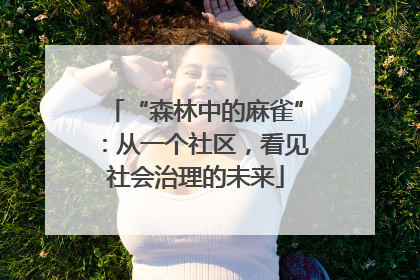 “森林中的麻雀”：从一个社区，看见社会治理的未来