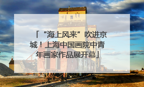 “海上风来”吹进京城！上海中国画院中青年画家作品展开幕