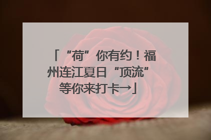 “荷”你有约！福州连江夏日“顶流”等你来打卡→