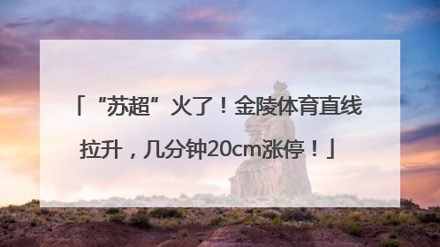“苏超”火了！金陵体育直线拉升，几分钟20cm涨停！