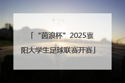 “茵浪杯”2025襄阳大学生足球联赛开赛