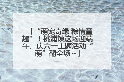 “萌宠奇缘 粽情童趣”！桃浦镇这场迎端午、庆六一主题活动“萌”翻全场～