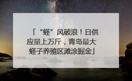 “蛏”风破浪！日供应量上万斤，青岛最大蛏子养殖区滩涂掘金