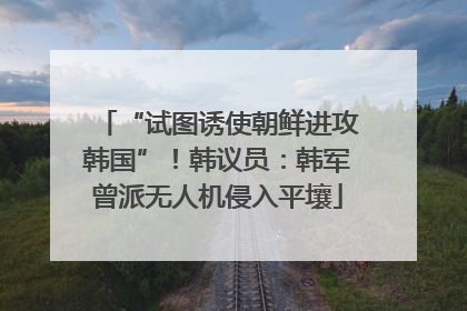“试图诱使朝鲜进攻韩国”！韩议员：韩军曾派无人机侵入平壤