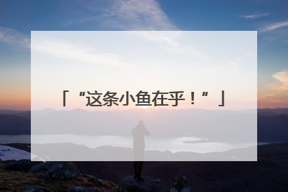 “这条小鱼在乎！”