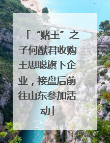 “赌王”之子何猷君收购王思聪旗下企业，接盘后前往山东参加活动