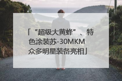 “超级大黄蜂”、特色涂装苏-30MKM 众多明星装备亮相