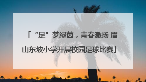 “足”梦绿茵，青春激扬 眉山东坡小学开展校园足球比赛