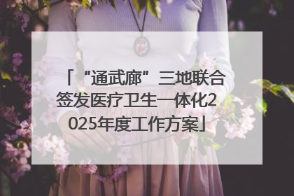 “通武廊”三地联合签发医疗卫生一体化2025年度工作方案