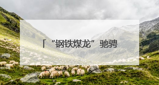 “钢铁煤龙”驰骋盛夏 “保供赛道”——七台河站电煤保供跑出迎峰度夏 “加速度”