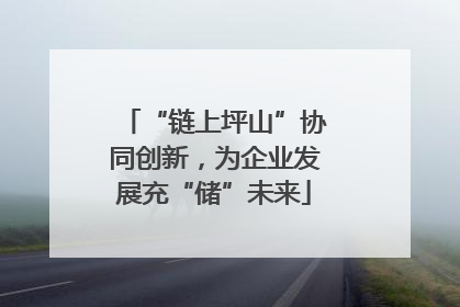 “链上坪山”协同创新，为企业发展充“储”未来
