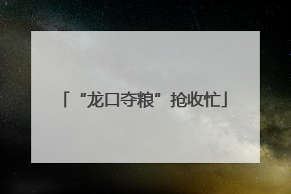 “龙口夺粮”抢收忙