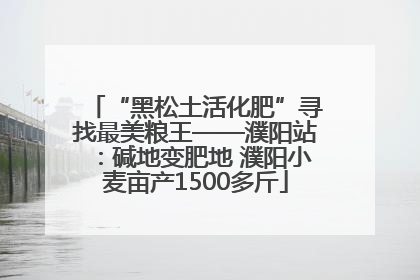“黑松土活化肥”寻找最美粮王——濮阳站：碱地变肥地 濮阳小麦亩产1500多斤