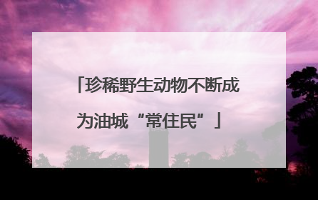 珍稀野生动物不断成为油城“常住民”