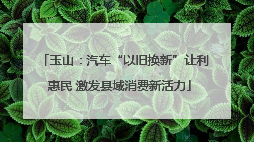 玉山：汽车“以旧换新”让利惠民 激发县域消费新活力